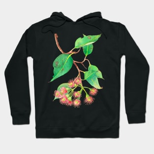 Red flowering eucalyptus branch watercolour Hoodie